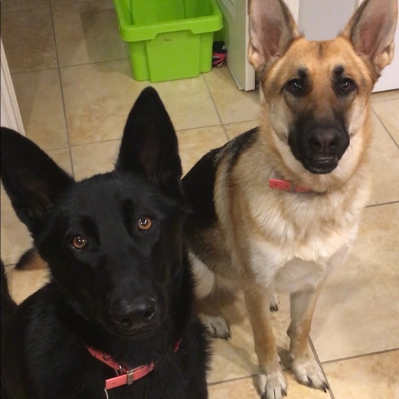 Meet your Posher, Luke - Picture 1 of 1